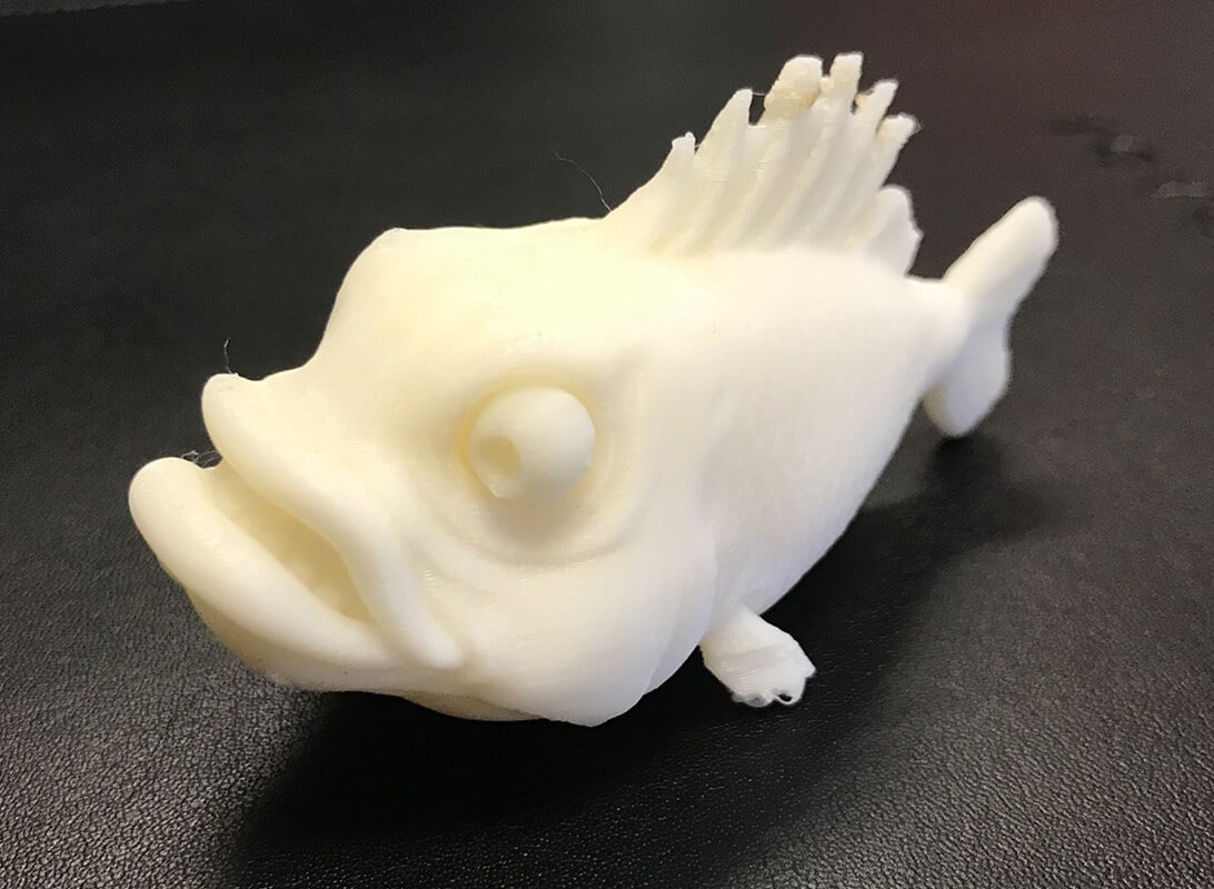 culture 3d print fish - Our People